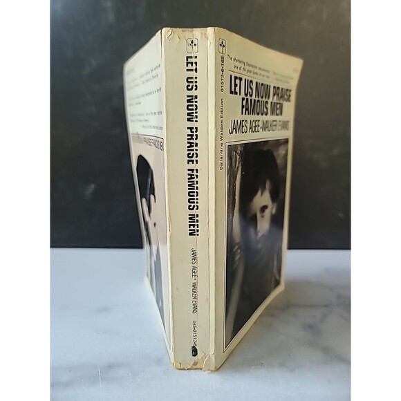Let Us Praise Famous Men By James Agee And Walker Evans Paperback - Picture 10 of 10